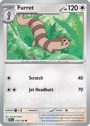 Furret