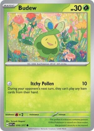 Budew (Energy Pattern)